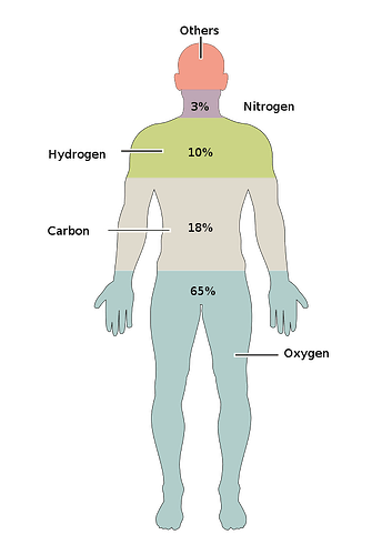 201_Elements_of_the_Human_Body.02.svg