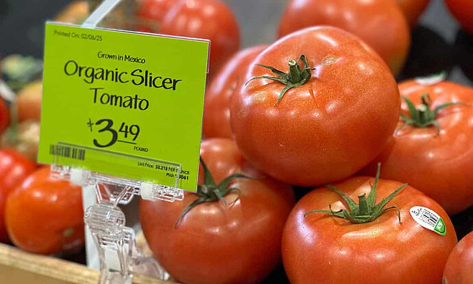 Tomatoes on sale in a shop